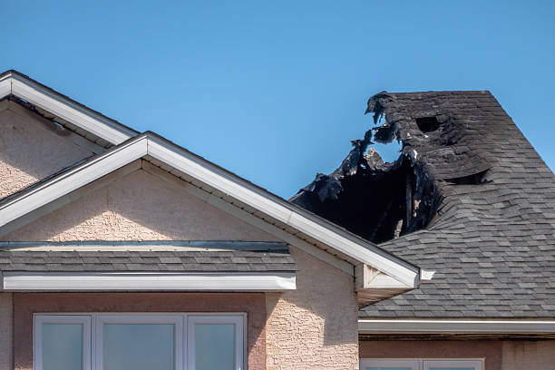 Top rated local Emergency Fire Cleanup specialists in Arlington, VA